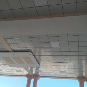 WhatsApp Image 2022-12-12 at 11.34.05 AM