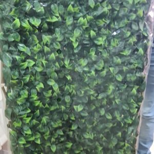 WhatsApp Image 2022-12-19 at 5.49.21 PM